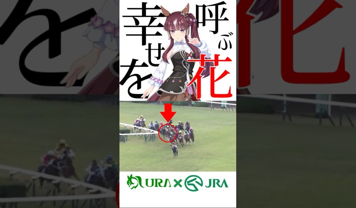 【目が覚める様な末脚】ウマ娘好きにも見て欲しい！ #ラッキーライラック #エリザベス女王杯 #競馬 #競馬予想 #ウマ娘