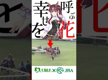 【目が覚める様な末脚】ウマ娘好きにも見て欲しい！ #ラッキーライラック #エリザベス女王杯 #競馬 #競馬予想 #ウマ娘