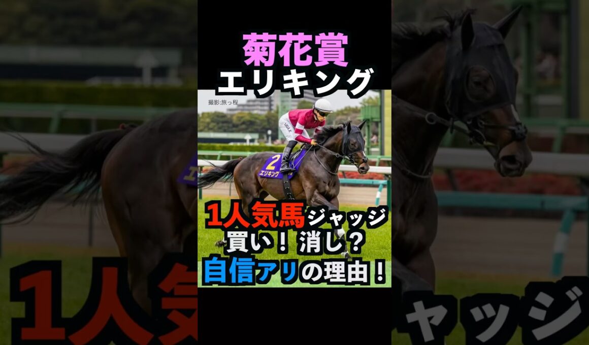 【菊花賞2025】1人気ジャッジ！買い！消し？自信アリの理由！#菊花賞 #菊花賞2025 #エリキング #エネルジコ #うまログ #競馬予想tv #ウマキんグ #アルテミスステークス #shorts