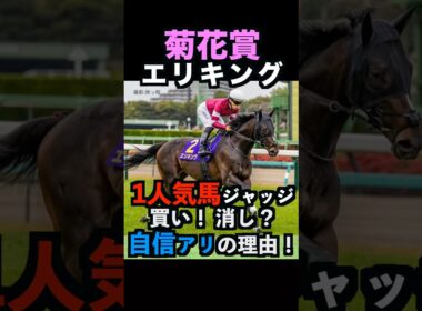 【菊花賞2025】1人気ジャッジ！買い！消し？自信アリの理由！#菊花賞 #菊花賞2025 #エリキング #エネルジコ #うまログ #競馬予想tv #ウマキんグ #アルテミスステークス #shorts