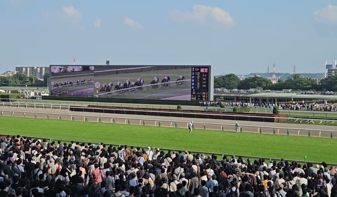 第171回天皇賞（春）東京競馬場の様子