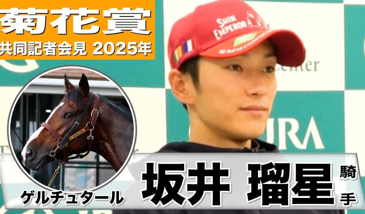 【菊花賞2025】ゲルチュタール・坂井瑠星騎手「前走よりもう一段階良くなった」「コンビで4戦4勝と相性もいい」《JRA共同会見》