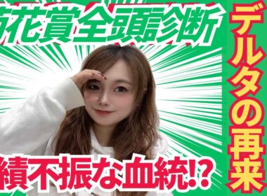 【菊花賞2025】デルタブルースの再来に期待の推奨馬とは【競馬予想】