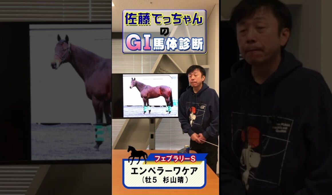 【2025年 フェブラリーS】エンペラーワケア馬体診断「注目はお尻」 #shorts #競馬 #予想