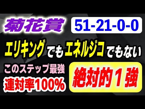 菊花賞2025【エリキングでもエネルジコでもない】このステップ連対率100％の最強伏兵で絶対的１強！