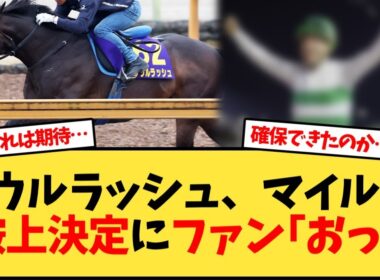 【マイルチャンピオンシップ】ソウルラッシュ、鞍上決定にファン｢おっ!｣【競馬反応集】