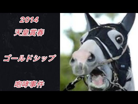 【ゴルシ（熊🐻）の咆哮】2014天皇賞春ゴルシとフェノーメノと細江さんとその他出走馬の気持ち