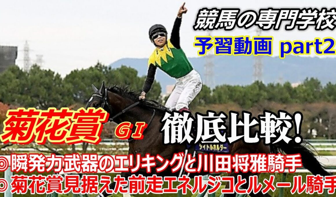 【菊花賞2025】予習動画Part2  １､２番人気想定のエネルジコ､エリキング徹底分析【競馬の初心者の方にもわかりやすく解説】