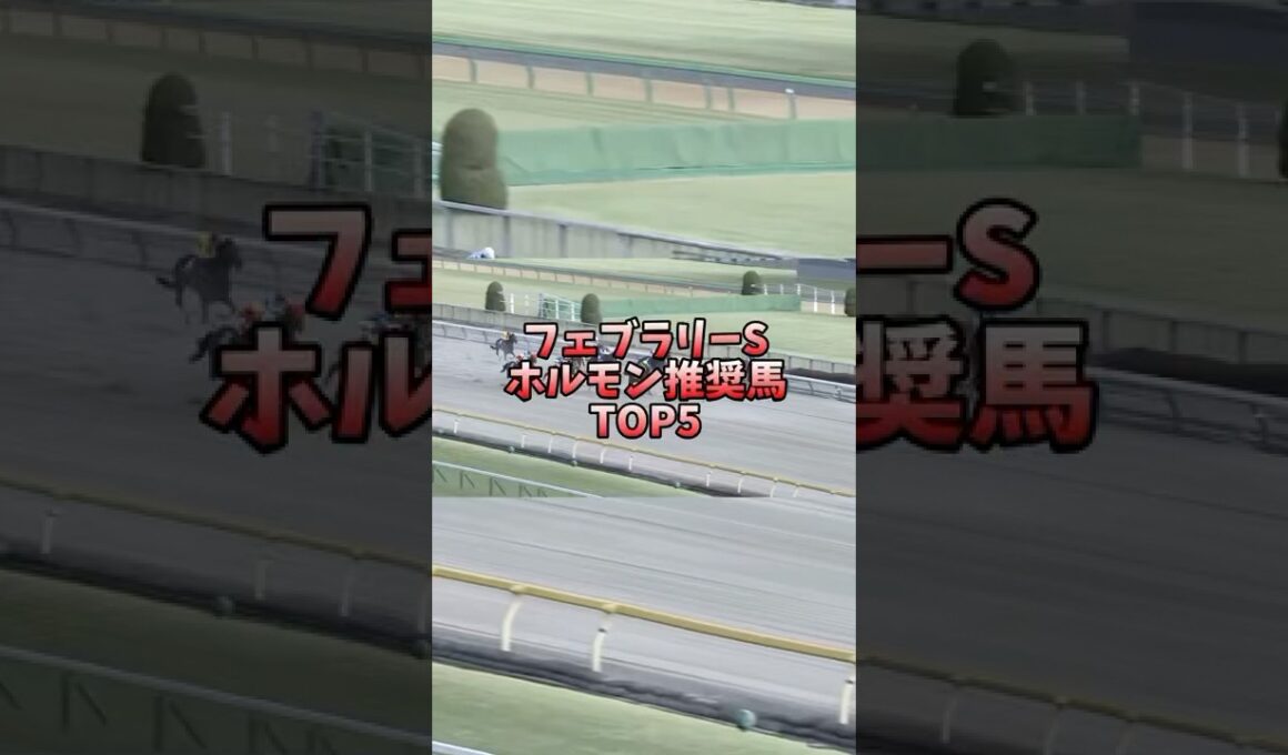 【競馬予想】フェブラリーS 2025ホルモン推奨馬 #競馬 #フェブラリーステークス #ミッキーファイト #フォーエバーヤング #R&MForever #おひさ #今年はモン太の年