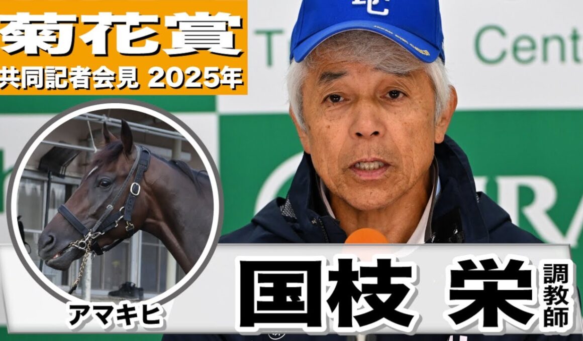 【菊花賞2025】アマキヒ・国枝栄調教師「フレッシュな雰囲気、いい状態」「ヤンチャというか気が強い、競馬でしっかり走れるメンタル」《JRA共同会見》