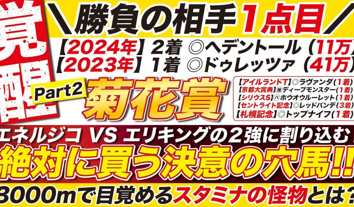 🎯覚醒→【菊花賞2025予想】エネルジコ VS エリキングの２強に割り込む！3000ｍで目覚めるスタミナの怪物とは？絶対に買う勝負の相手１点目