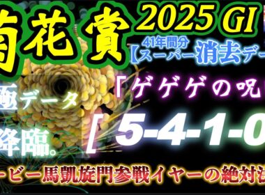 【データ消去法・オカルト】菊花賞 2025 予想 〜過去41年間分スーパー消去データで切る！菊花賞・「川田の絆」『ゲゲゲの呪い』と坂井瑠星・ダービー馬凱旋門賞参戦イヤーの絶対法則〜【中央競馬予想】