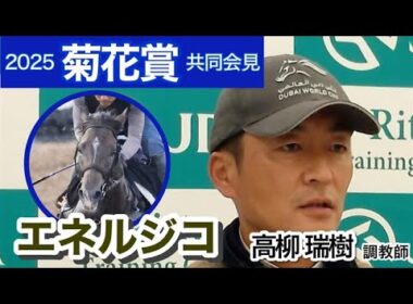 【菊花賞2025】エネルジコの高柳瑞樹調教師は長丁場に「折り合いがつく馬なので何とかこなしてくれると思う」…ＪＲＡ共同会見