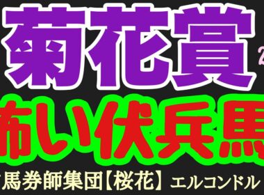 エルコンドル氏の菊花賞2025怖い伏兵馬！！G1馬不在の大混戦！人気集める馬達も力関係は拮抗気味で今年は伏兵馬にもチャンスあり！未知の距離で期待できる馬はいるか！？