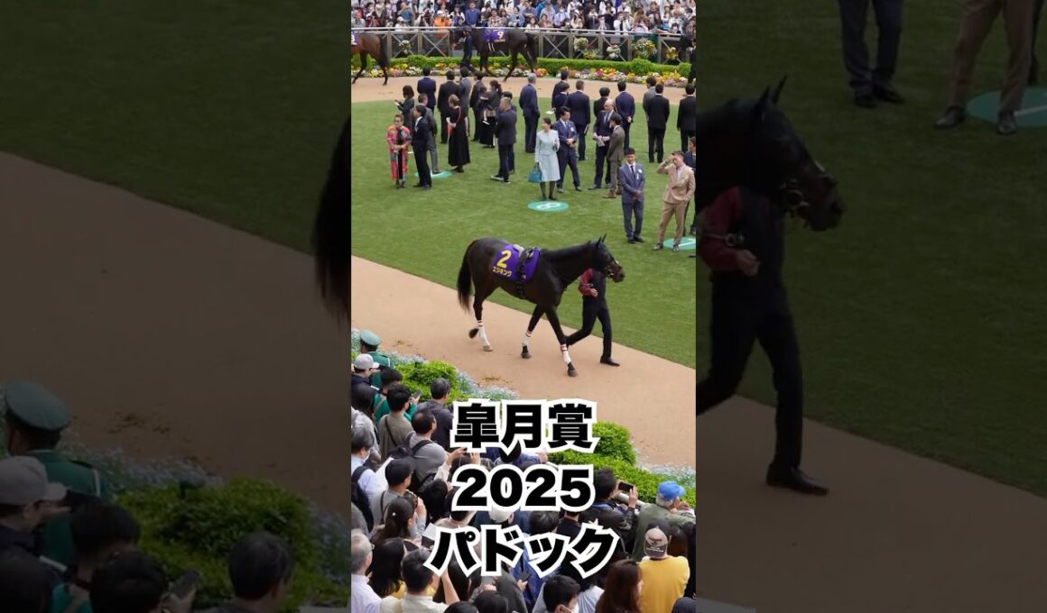 【皐月賞2025】パドック全頭