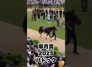 【皐月賞2025】パドック全頭