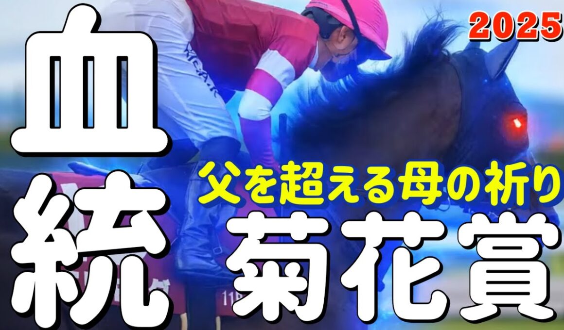 🎯【 菊花賞 2025 】血統背景からの好走馬 | ドゥレッツァ、アーバンシック、に続ける馬が血統から導かれました。ヘデントールは日本海Sから、タスティエーラはモレイラ騎手が導きました。今年は逃げ馬❓