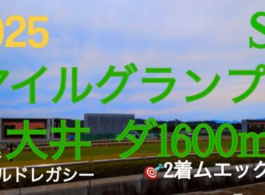 【マイルグランプリ  2025】🎯１着ゴールドレガシー🎯2着ムエックス  南関秋のマイル王へ‼︎上位の序列は変わらないがマイル路線にキングストンボーイが参戦‼︎現路線の主軸ムエックスが迎え撃つ‼︎