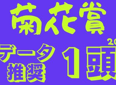 【菊花賞2025】データ分析｜最も強い馬は誰だ！春の実績馬対夏の上がり馬