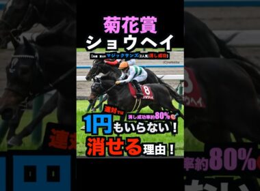 【菊花賞2025】1円もいらない！ショウヘイを連対で消せる理由！#菊花賞 #菊花賞2025 #ショウヘイ #アルテミスステークス #うまログ #ウマキんグ #競馬予想tv #競馬予想 #shorts