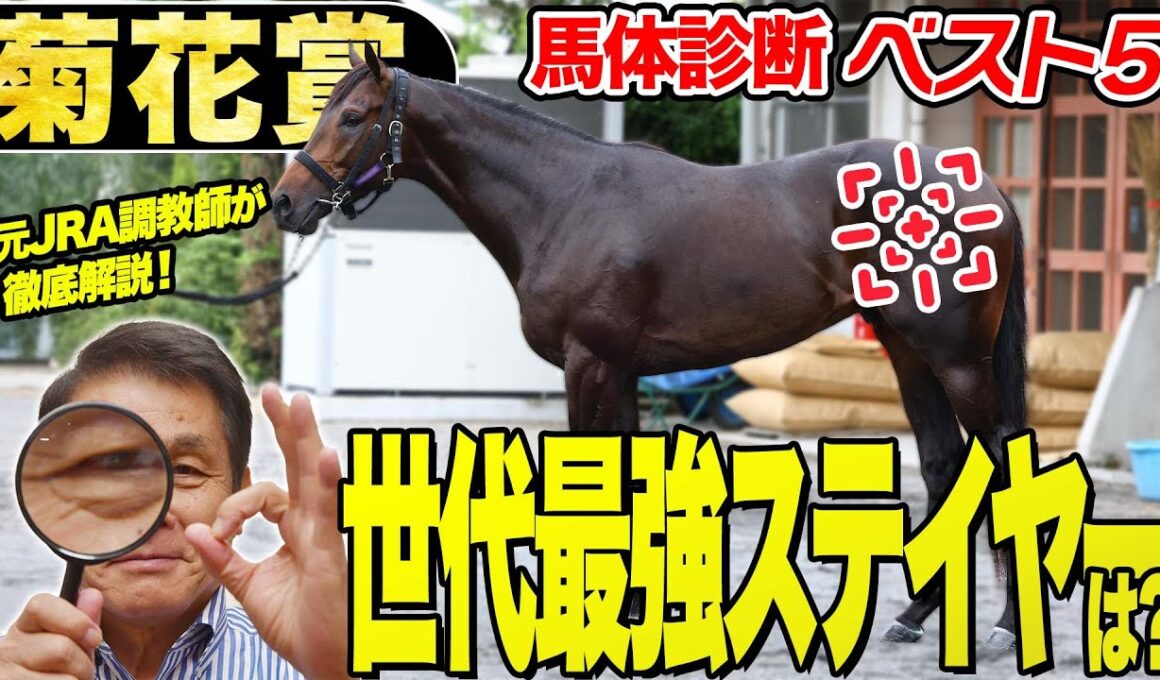 【菊花賞2025】中村均元調教師が馬体診断ベスト５を発表　未知の距離を激走する可能性を秘めるのはこの馬！《東スポ競馬》