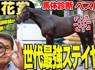 【菊花賞2025】中村均元調教師が馬体診断ベスト５を発表　未知の距離を激走する可能性を秘めるのはこの馬！《東スポ競馬》