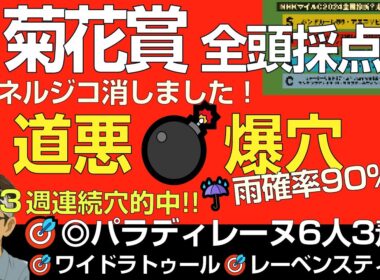 菊花賞2025道悪爆穴！「先週も◎パラディレーヌ🎯に続き爆穴で攻める！道悪大波乱でエネルジコ消しも」