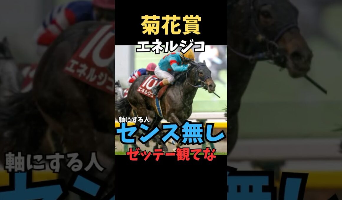 【菊花賞2025】軸にする人センス無し/エネルジコ#菊花賞#エネルジコ#競馬 #競馬予想 #競馬予想tv #中央競馬予想 #ウマろぐ#義英真 #ウマキング#shorts