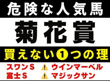 #1971【危険な人気馬 2025　菊花賞】エリキングなど人気上位４頭の血統と前走の考察 買えない１つの理由 にしちゃんねる 馬Tube