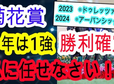 【競馬予想】菊花賞2025　絶対に当てたい人必見！　3年連続的中へこのデータを見れば血統や追い切りを見る必要はありません！！