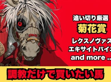 【菊花賞/調教だけで買いたい馬】後は前日の動向でレクスノヴァス/やはり緩めた横山典弘騎手仕様のヤマニンブークリエ/1頭だけ尖った調教のエキサイトバイオ【追い切り】