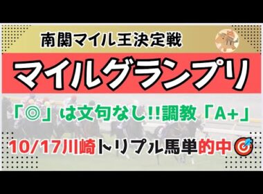マイルグランプリ2025予想【大井競馬】全頭診断＋調教診断＋買い目