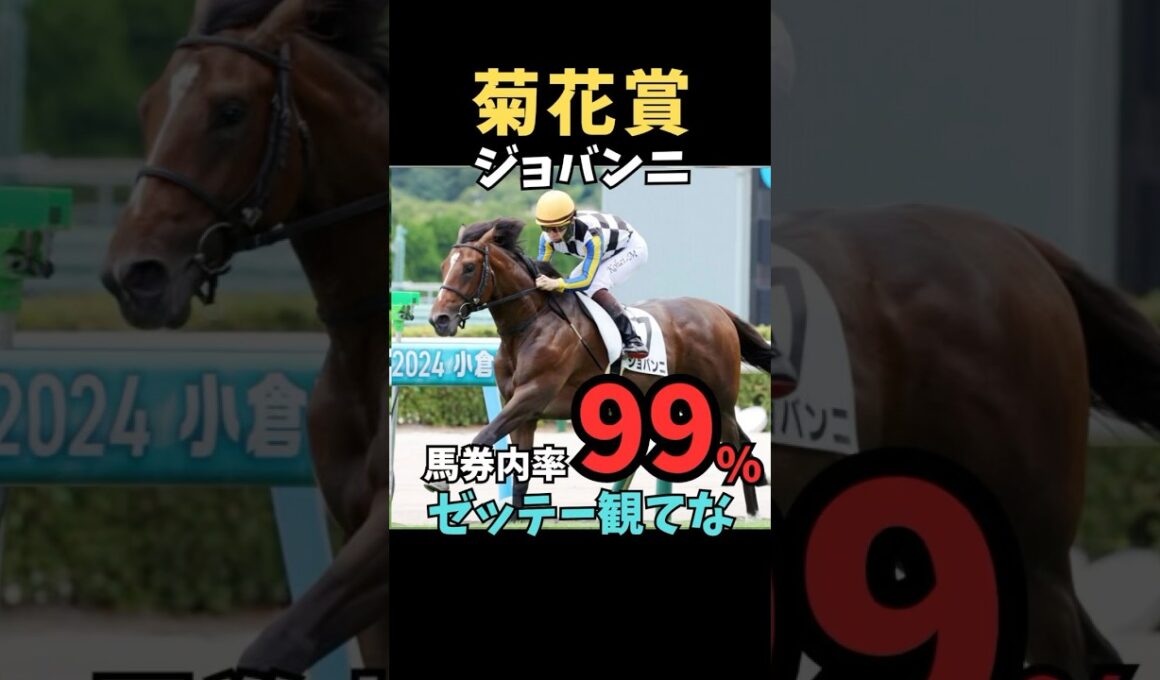 【菊花賞2025】馬券内率99%/ジョバンニ#菊花賞#ジョバンニ#競馬予想 #競馬予想 #競馬予想tv #中央競馬予想 #ウマろぐ#義英真 #ウマキング#shorts