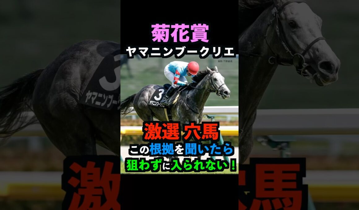 【菊花賞2025】激選穴馬推奨！ヤマニンブークリエを必ず押さえるべき理由！#菊花賞 #菊花賞2025 #ヤマニンブークリエ #ウマキんグ #うまログ #競馬予想tv #競馬予想 #shorts