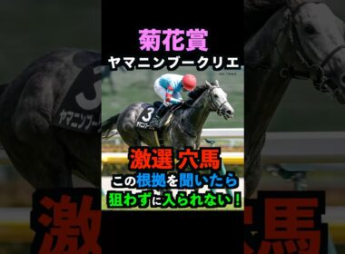 【菊花賞2025】激選穴馬推奨！ヤマニンブークリエを必ず押さえるべき理由！#菊花賞 #菊花賞2025 #ヤマニンブークリエ #ウマキんグ #うまログ #競馬予想tv #競馬予想 #shorts