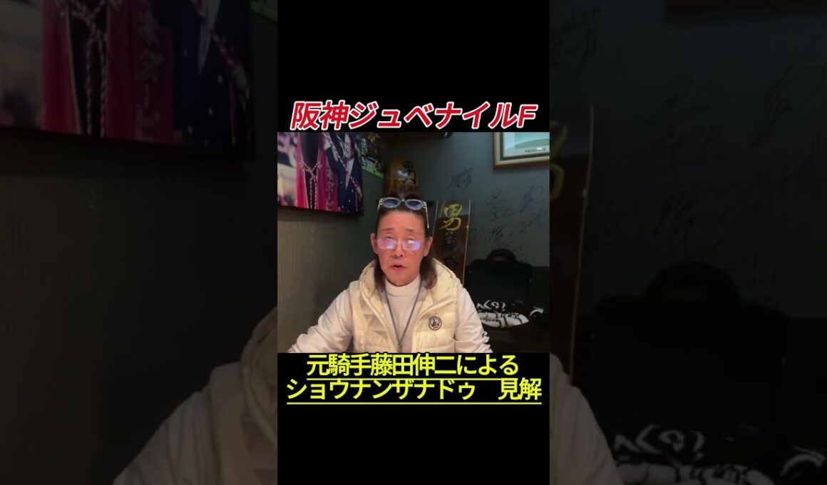 ショウナンザナドゥ 見解#藤田伸二 #阪神ジュベナイルF #競馬  #阪神ジュベナイルフィリーズ