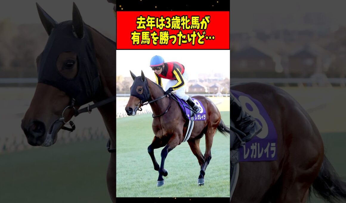 【競馬】去年は3歳牝馬が有馬記念を勝ったけど… #shorts