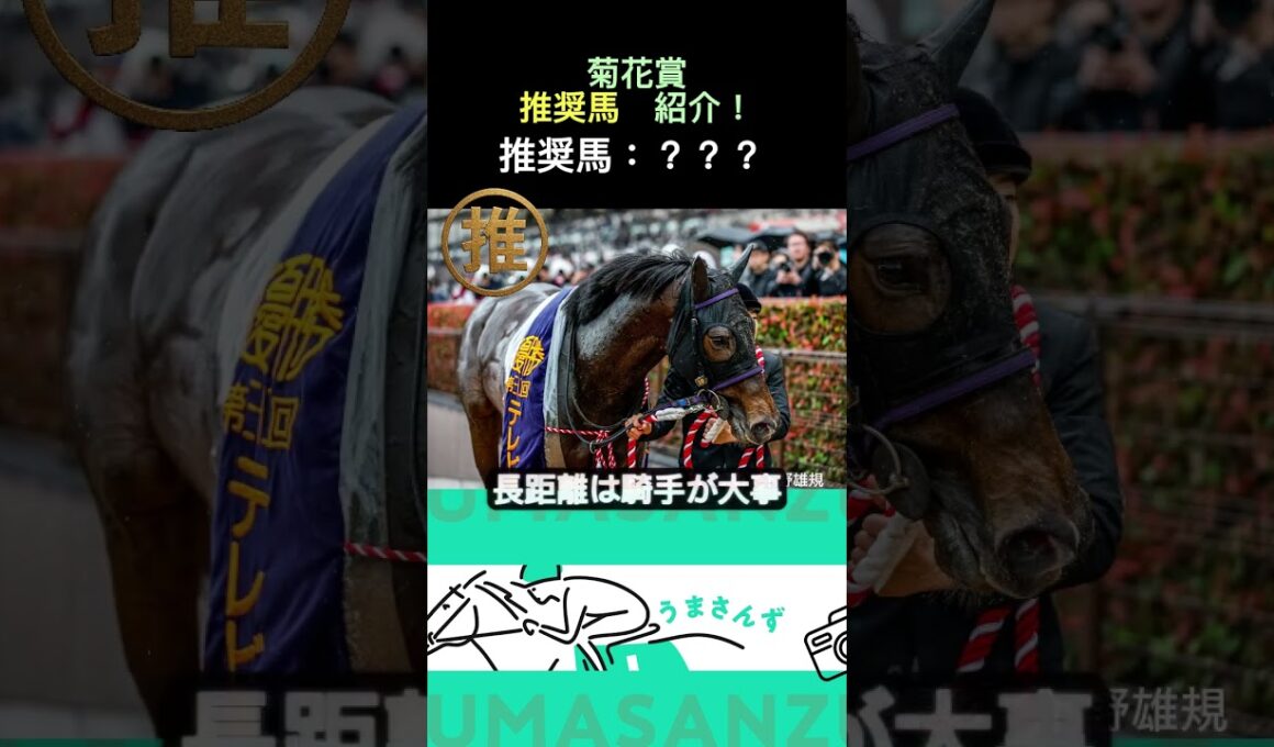【菊花賞】上位人気は割れそうな2025年菊花賞！その中で狙いたいイチオシの馬とは！？#競馬 #競馬予想