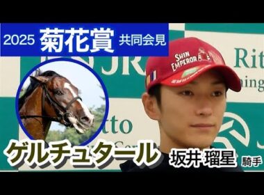 【菊花賞2025】ゲルチュタールの坂井瑠星騎手「３０００メートルに向けてずっと乗ってきている」…ＪＲＡ共同会見