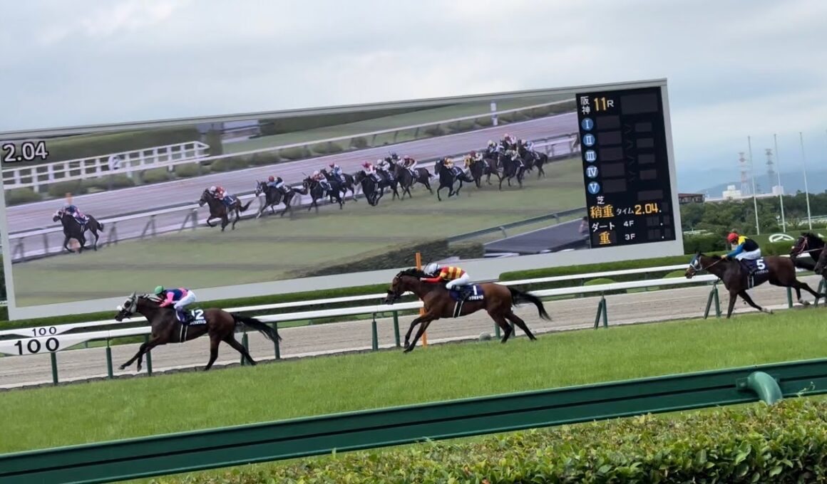 宝塚記念 2025 メイショウタバル　武豊騎手