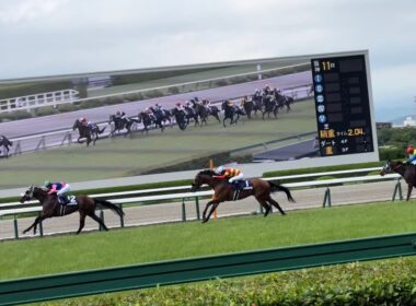 宝塚記念 2025 メイショウタバル　武豊騎手