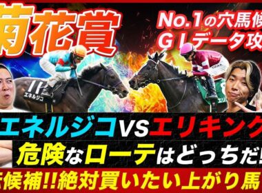 【菊花賞】エネルジコVSエリキング危険なのはどっち!?高回収率データ該当馬と絶対買いたい上がり馬