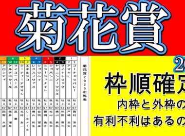 菊花賞2025枠順確定！エリキングは7枠15番！ショウヘイは4枠7番！エネルジコは5枠9番！人気3頭は明暗を分けた枠順？逃げ馬候補のマイユニバースは6枠11番！スタミナ豊富ゲルチュタールは6枠12番！