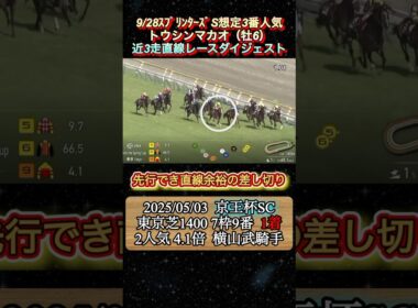 【トウシンマカオ】 スプリンターズS想定3番人気！近3走ダイジェスト　#競馬  #スプリンターズステークス  #トウシンマカオ  #shorts