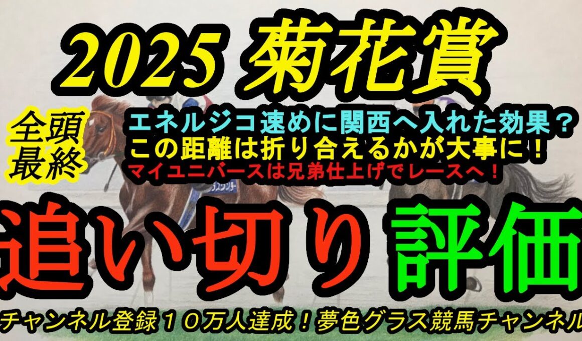 【最終追い切り評価】2025菊花賞全頭！エネルジコは速めの栗東入りで動きはどうか？マイユニバースは兄弟仕上げで勝負？