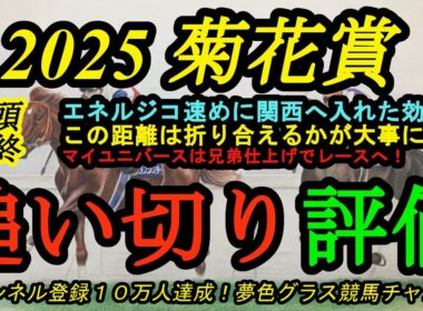 【最終追い切り評価】2025菊花賞全頭！エネルジコは速めの栗東入りで動きはどうか？マイユニバースは兄弟仕上げで勝負？