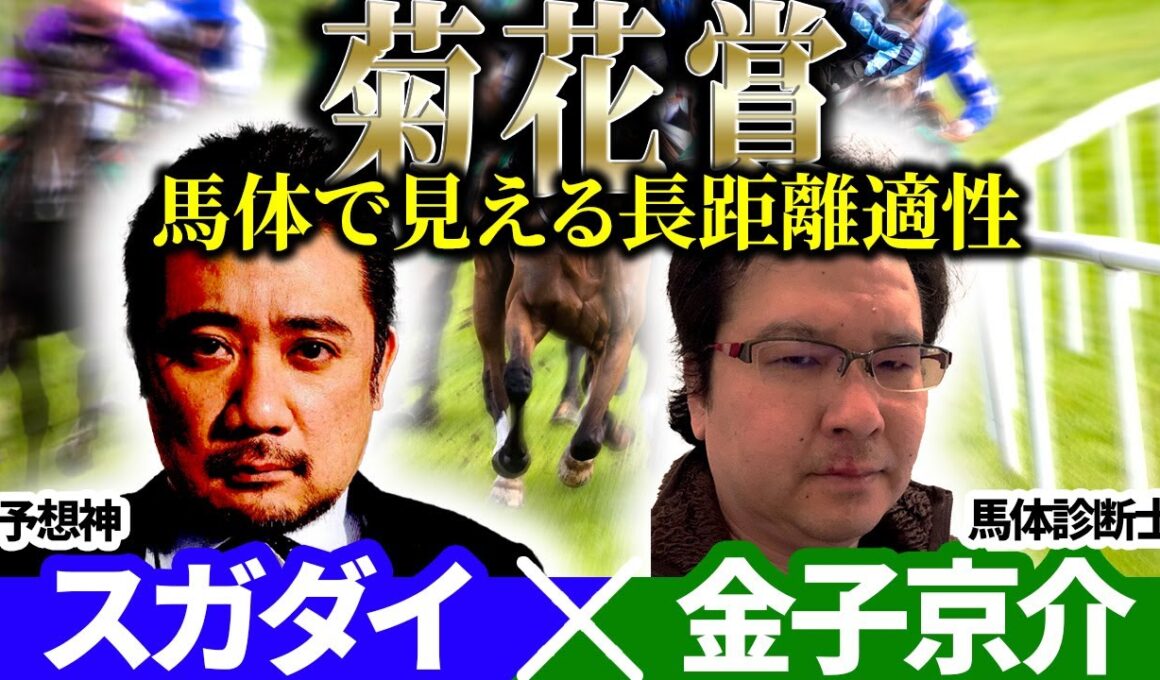 【菊花賞2025】馬体で見える長距離適性！予想神「スガダイ」×馬体診断士「金子京介」の注目馬大公開！