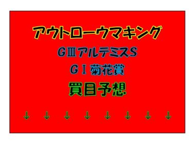 アウトローウマキング　プロ馬券師競馬予想　GⅢアルテミスＳ・GⅠ菊花賞　買い目予想　説明欄に関連動画サイトURL有り　クリックお願いします。