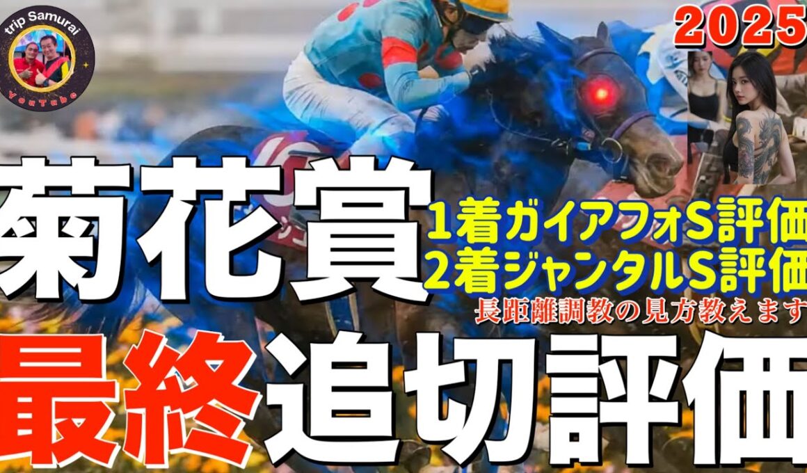 🎯【菊花賞 2025】最終追い切り評価 |  エリキングの仕上げは？ショウヘイの仕上げは長距離仕上げなのか？エネルジコは大丈夫なの⁉️ジョバンニの動きに変化の兆し？ ゲルチュタールの変わり身は？S評価