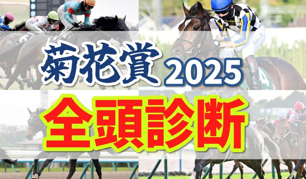菊花賞2025 全頭診断と本命予想！クラシック最後の戴冠はどの馬だ！